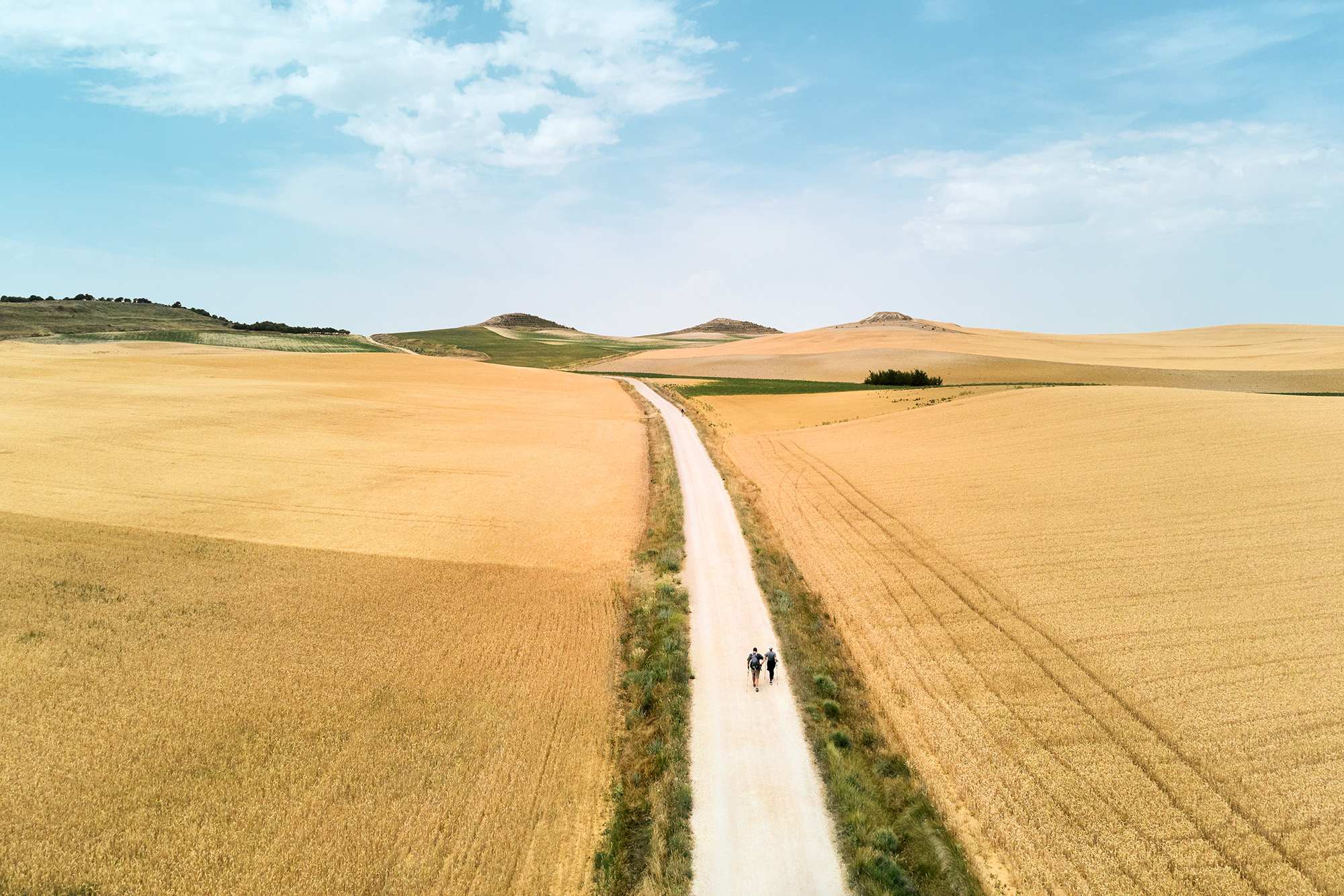 Pilgrims on the Camino de Santiago