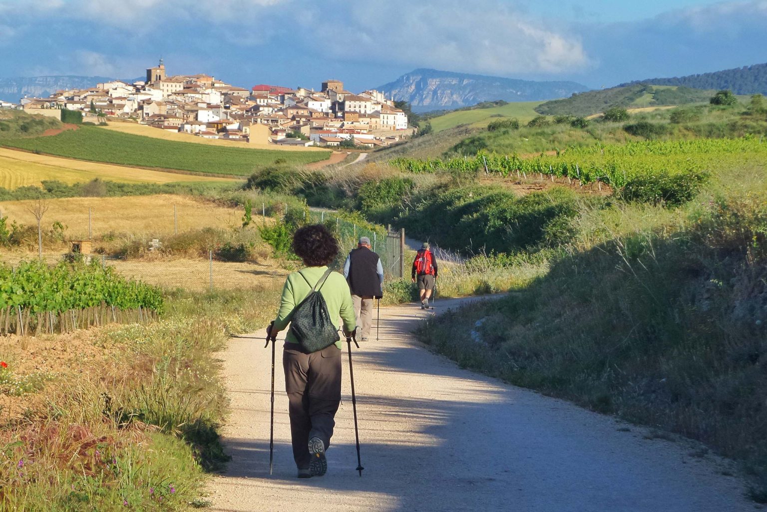 group-of-pilgrims-walking-along-the-camino-de-sant-2023-11-27-05-05-42-utc