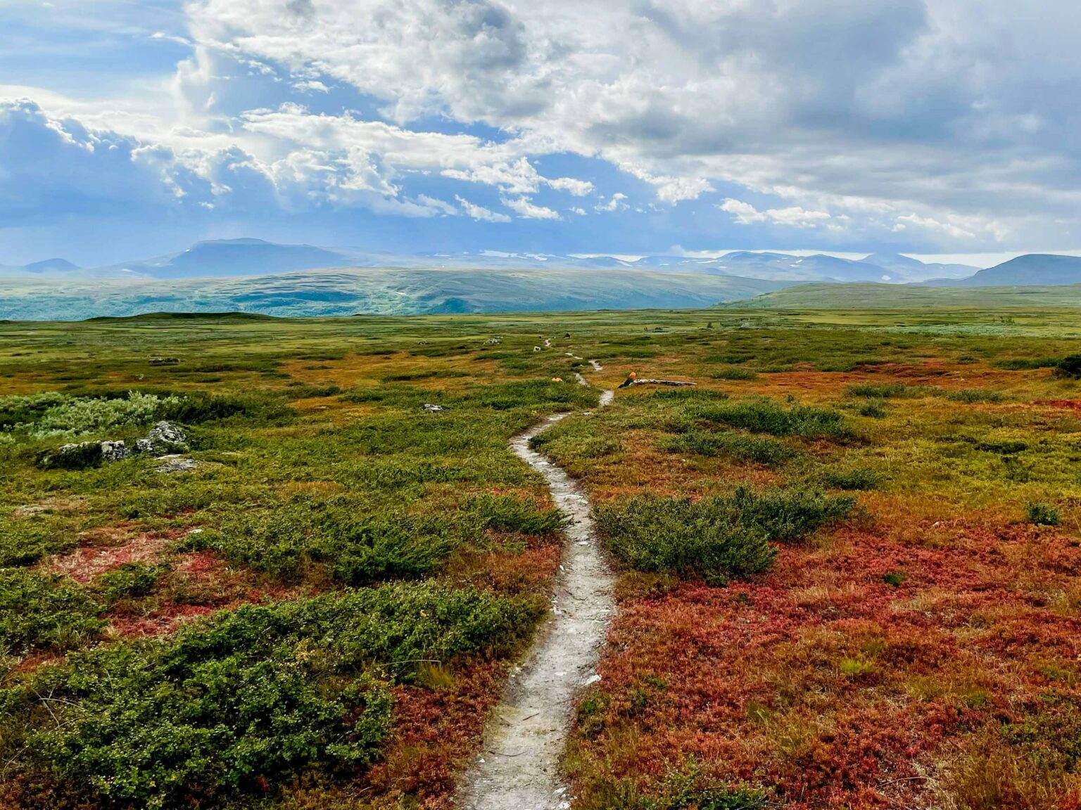 Kungsleden trail close to Ammarnäs (Photo by Anders Norén on Unsplash)